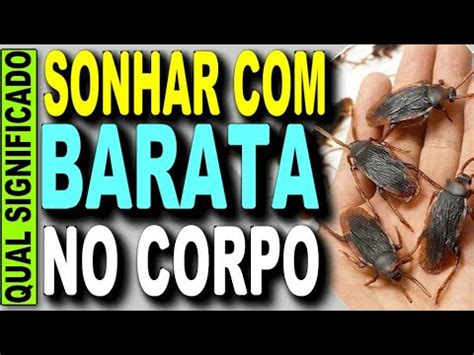 Sonhar com barata no Jogo do Bicho 